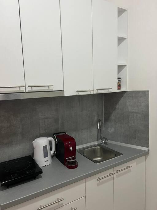 Sany Center Apartment เบลเกรด ภายนอก รูปภาพ